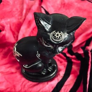 Black Cat 🐈‍⬛